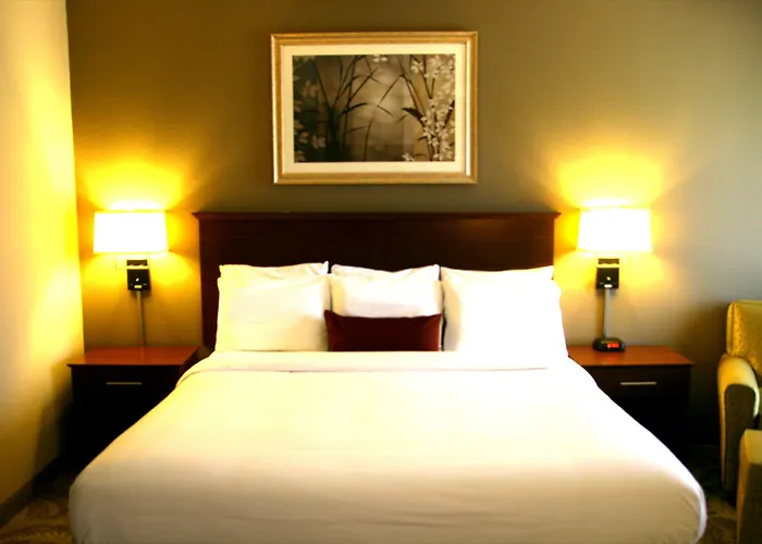 Carpenter Street Hotel Springfield