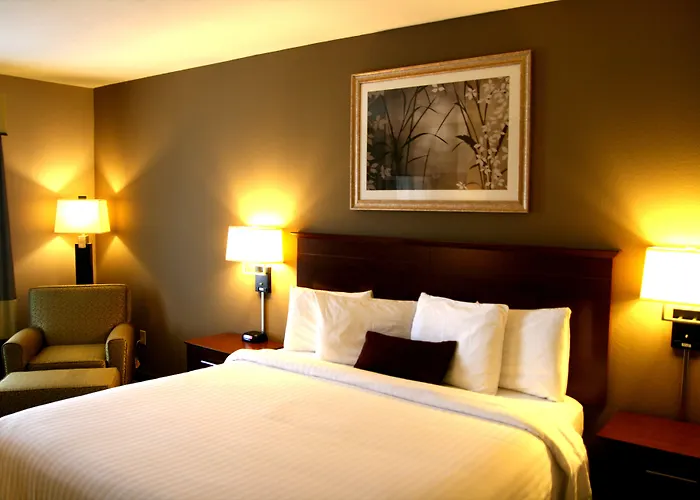 Carpenter Street 3*