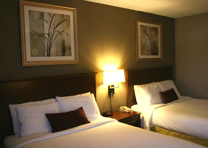 Carpenter Street Hotel Springfield